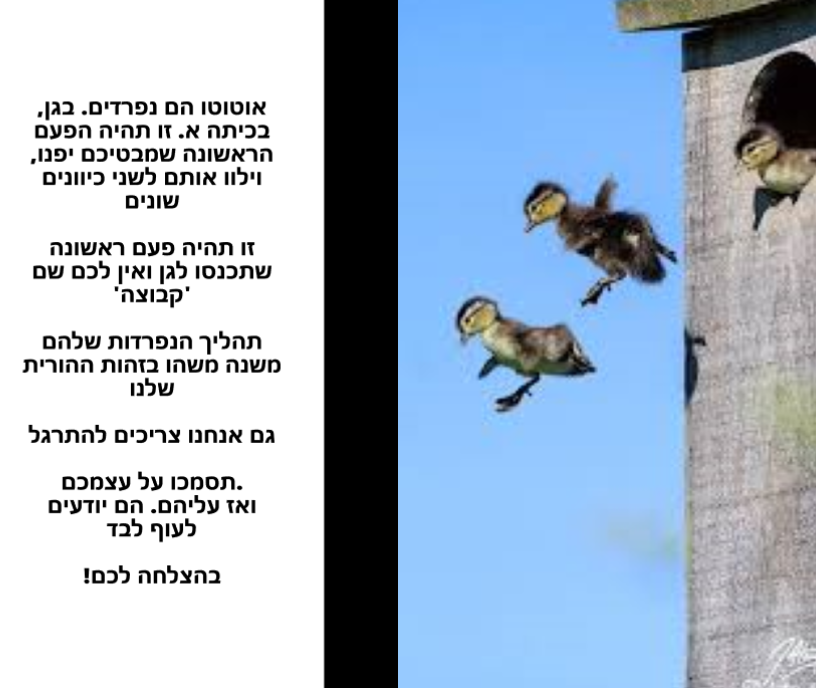 https://www.pulseem.com/Pulseem/ClientImages/10657///%D7%A4%D7%A8%D7%99%D7%93%D7%94.png